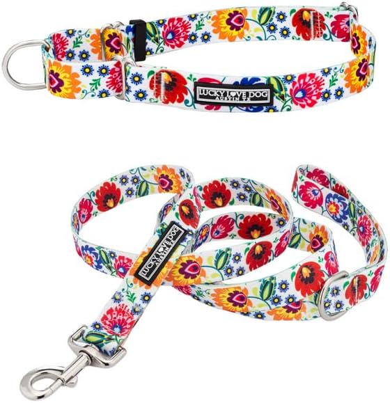 Lucky Love Dog Martingale Dog Collar & Leash - Adjustable, No-Slip, Durable, Comfortable, Soft Webbing, & Stylish Patterned Collar & Leash Set for Male and Female Dogs - Ladybird Combo, Large