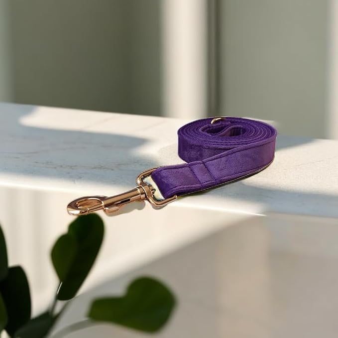 Love Dream Velvet Dog Collar and Leash Set, Soft & Comfy Adjustable Dog Leash and Collar with Heavy Duty Metal Buckle for Small Medium Large Dogs Training & Walking (Large, Dark Purple)