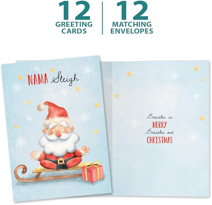 Tree-Free Greetings - Christmas Greeting Cards - Artful Designs - 12 Cards + Matching Envelopes - Made in USA - 100% Recycled Paper - 5"x7" - Nama Sleigh (HP60532)