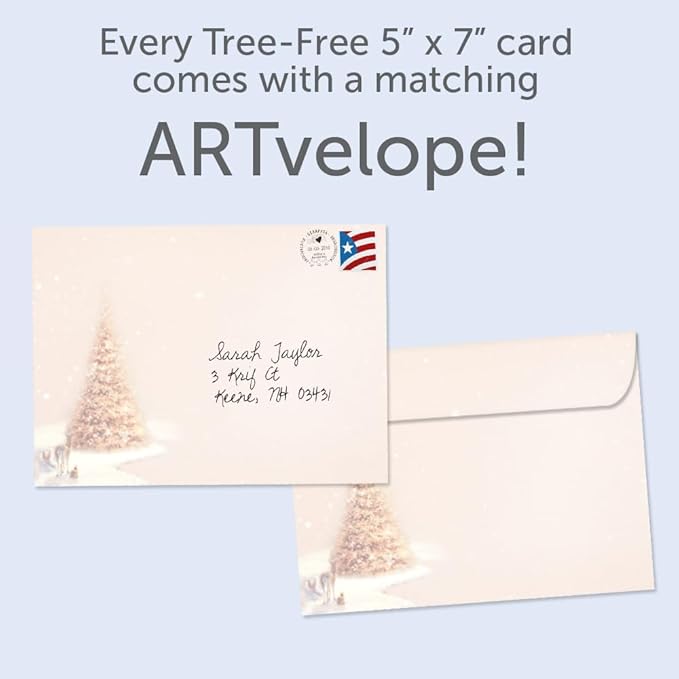 Tree-Free Greetings - Christmas Greeting Cards - Artful Designs - 12 Cards + Matching Envelopes - Made in USA - 100% Recycled Paper - 5"x7" - Calm and Bright (HP60512)