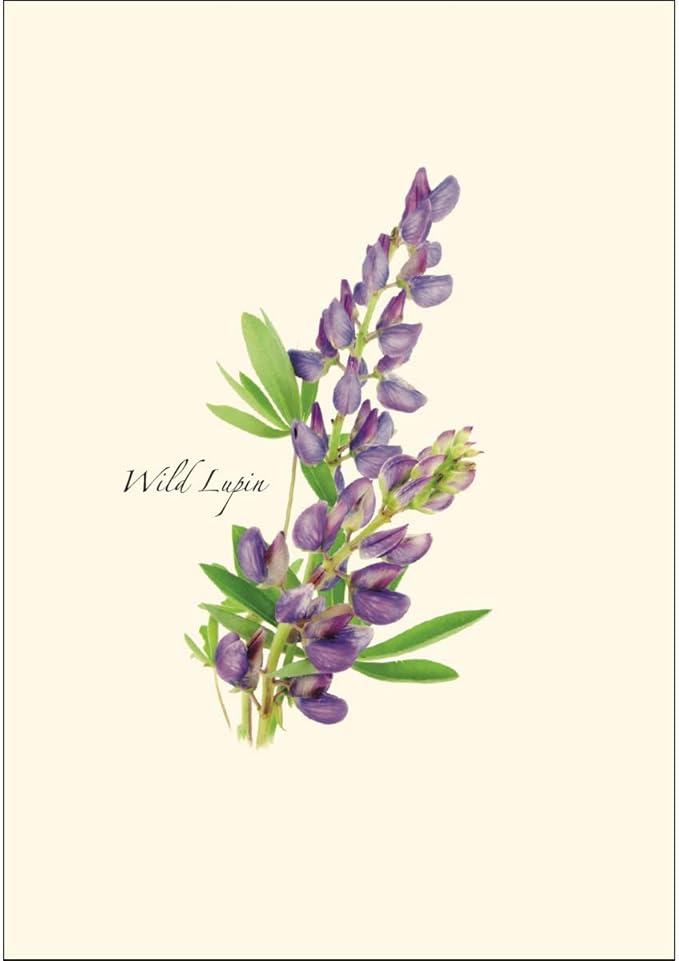 Earth Sky + Water - Wildflower Assortment Notecard Set - 8 Blank Cards with Envelopes (4 each of 2 styles)