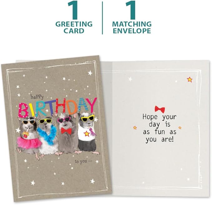 Tree-Free Greetings - Birthday Card - Artful Designs - 1 Card + Matching Envelope - Made in USA - 100% Recycled Paper - 5 x 7 - Fun Day (GO65229)