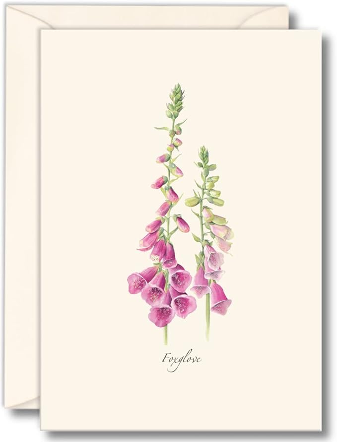 Earth Sky + Water - Foxgloves Boxed Notes