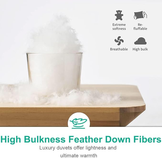 APSMILE Luxurious Queen Size Down Feather Fibers Comforter, Ultra-Soft All Season Duvet Insert, Fluffy Hotel Collection Down Feather Fibers Comforter with 8 Ties(90x90, White)