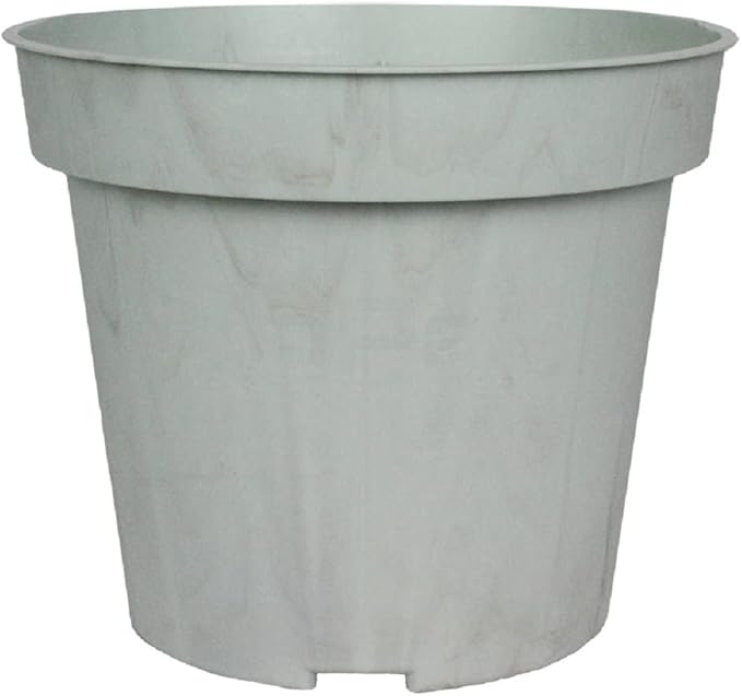 The HC Companies Biopax 4 Inch Eco-Friendly, Biodegradable Plant Pots - Perfect for Seed Starting or Vegetables (Set of 6)