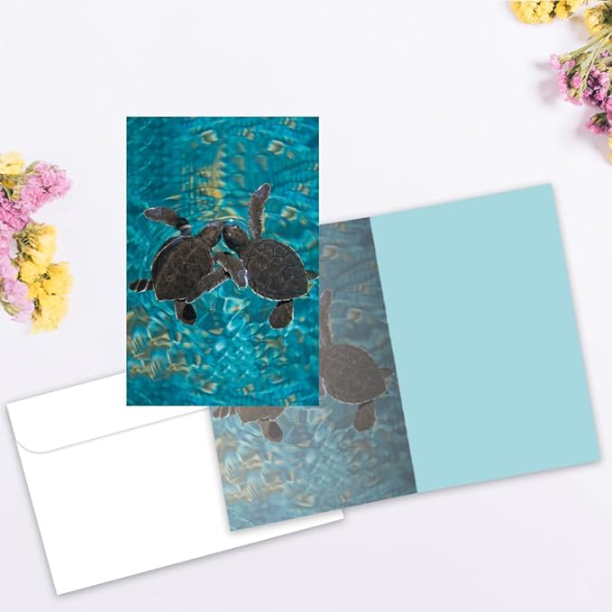 Tree-Free Greetings EcoNotes 12 Count Baby Sea Turtles All Occasion Notecard Set with Envelopes, 4 x 6 Inches (FS56932)