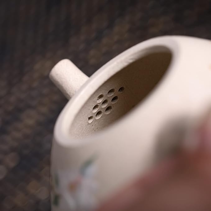 Zisha Teapot, Chinese Yixing Clay Handmade Teapot 8.4 Oz, Infuse Brew Kung Fu Loose Leaf Tea Maker