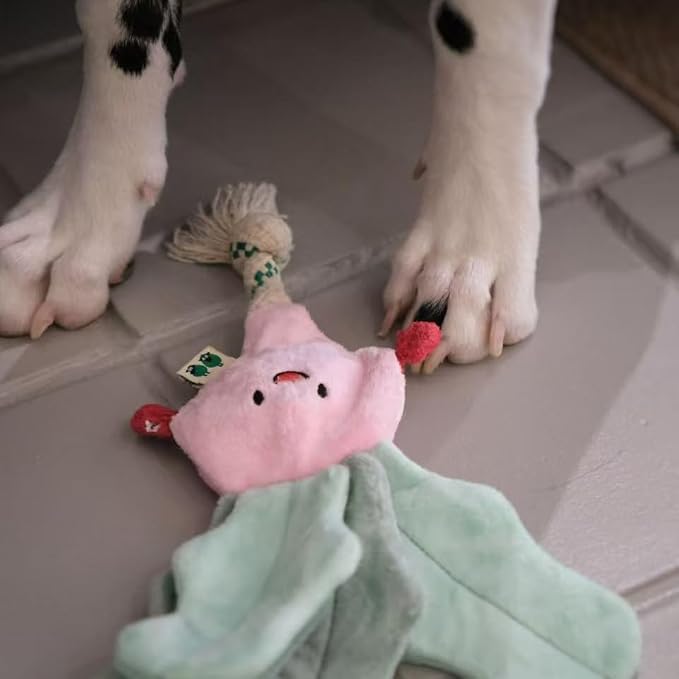 Green Sheep Interactive Plush Dog Toy, No Stuffing Squeaky Toy with Recycled Cotton Rope for Medium to Large Dogs,Radish
