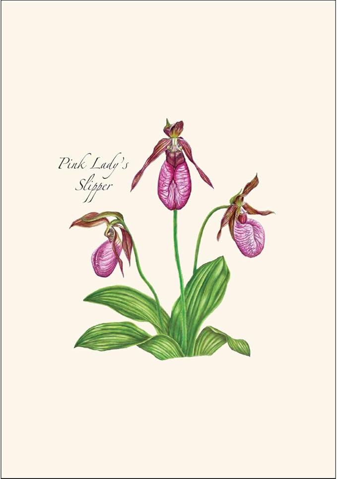 Earth Sky + Water - Native Orchid Assortment Assortment Notecard Set - 8 Blank Cards with Envelopes (2 each of 4 styles)