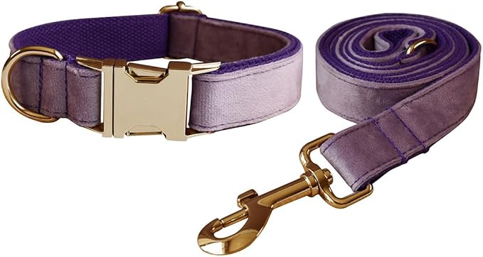 Love Dream Velvet Dog Collar and Leash Set, Soft & Comfy Adjustable Dog Leash and Collar with Heavy Duty Metal Buckle for Small Medium Large Dogs Training & Walking (Large, Purple)