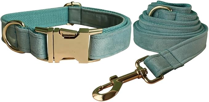 Love Dream Velvet Dog Collar and Leash Set, Soft & Comfy Adjustable Dog Leash and Collar with Heavy Duty Metal Buckle for Small Medium Large Dogs Training & Walking (Small, Light Green)