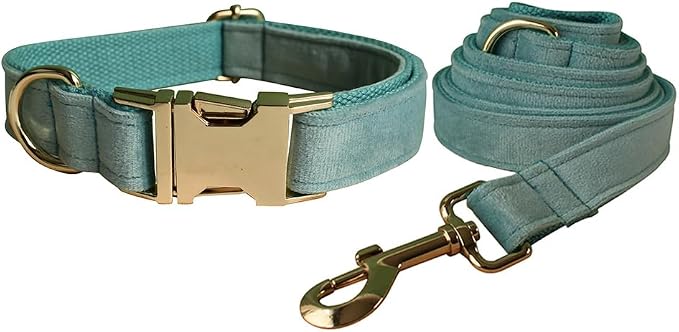 Love Dream Velvet Dog Collar and Leash Set, Soft & Comfy Adjustable Dog Leash and Collar with Heavy Duty Metal Buckle for Small Medium Large Dogs Training & Walking (XLarge, Light Green)