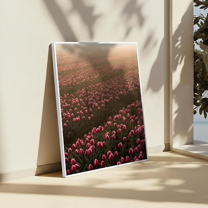 Monem Art Golden Tulip Field Sunset Photography Print - Romantic Spring Landscape Art Poster - Wall Decor for Living Room, Bedroom or Office - 16x20 White Framed CANVAS Wall Art by Mareike Bohmer
