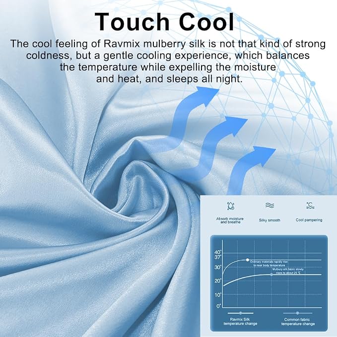 Ravmix Silk Pillow Cases with Zipper, 21momme Mulberry Silk Pillowcase for Hair Skin Health, Soft Smooth Breathable Cool Pillow Cover for Beauty Sleep with Gift Box 1PC(Queen 20"x30", Light Blue)