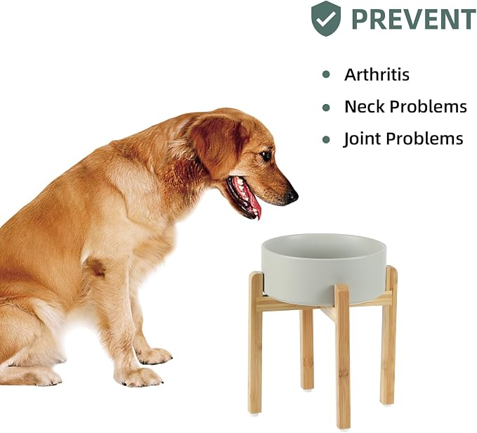Havniva 8.3” Dog Bowls Elevated Ceramic Dog Food and Water Bowl, Raised Dog Water Bowl with Stand Non-Slip Rubber Base Large Capacity Feeding Pet Food Bowl for Large Dogs