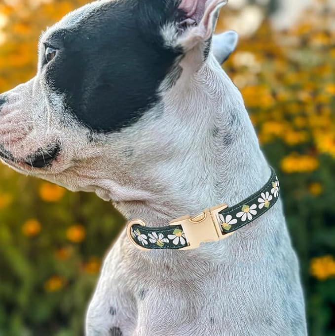 Woven Dog Collar with Metal Buckle Adjustable Jacquard Retro Dog Collars for Small Medium Large Dogs(Green,L)