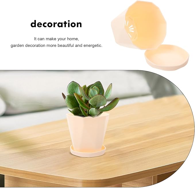 Luxshiny Degradable Succulent Plant Pot with Saucer, White Creative Planting Basin for Indoor Outdoor Garden Use, Eco-Friendly Biodegradable Flower Container