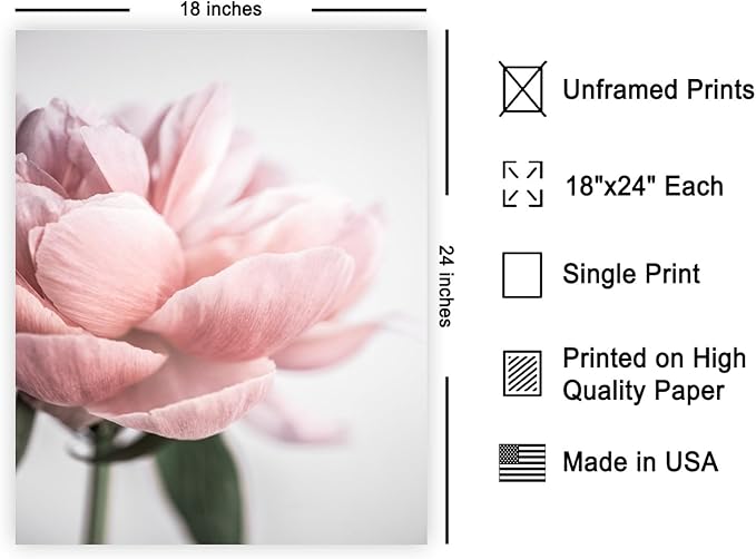 Monem Art Soft Pink Peony Macro Photography Print - Minimalist Floral Art Poster - Wall Decor for Living Room, Bedroom or Office - 18x24 Unframed Wall Art by Mareike Bohmer