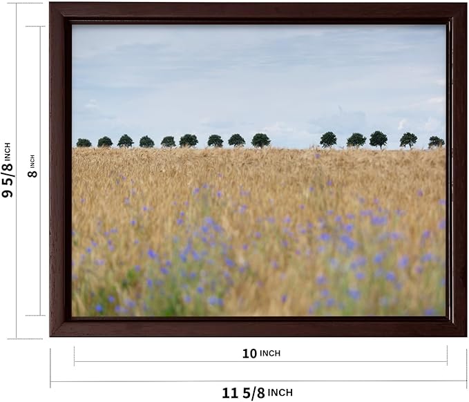 Monem Art Golden Meadow Horizon Landscape Print - Minimalist Nature Photography Poster - Wall Decor for Living Room, Bedroom or Office - 8x10 Brown Framed CANVAS Wall Art by Mareike Bohmer