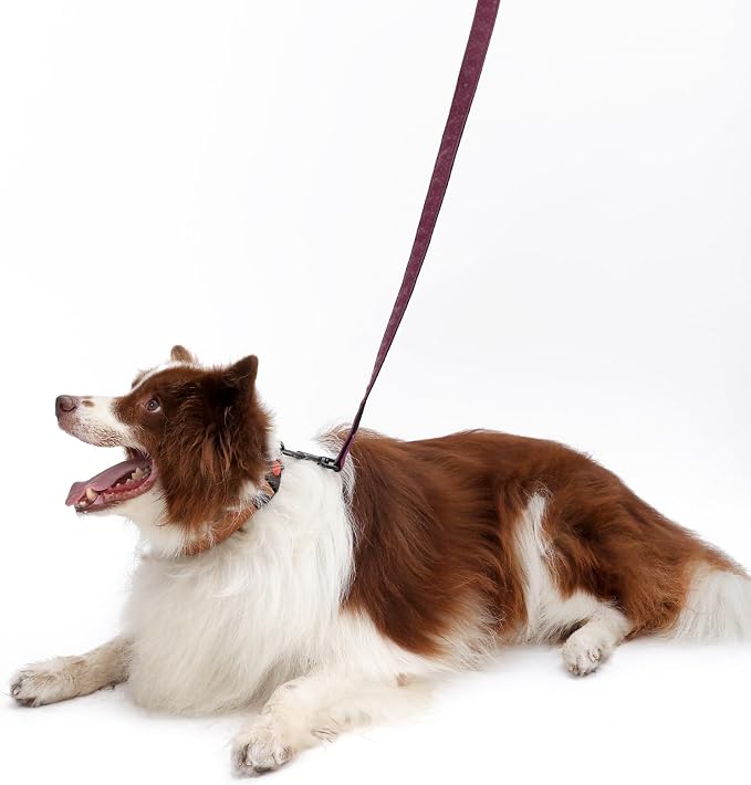 Soft Leather 4ft Dog Collar and Leash Set,Stylish 4ft PU Leather Dog Training Leash, Adjustable Durable Pet Collars with Quick Release Buckle for Large Dogs,Medium Dogs,Terracotta (red-Brown, 4 feet)