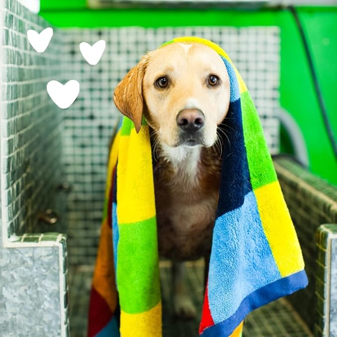earthbath, Oatmeal & Aloe Itch Relief Shampoo - Dog & Cat Oatmeal Pet Shampoo, for Itchy and Dry Skin, Made in USA, Cruelty Free, Vanilla and Almond - 128 Oz (1 Pack)