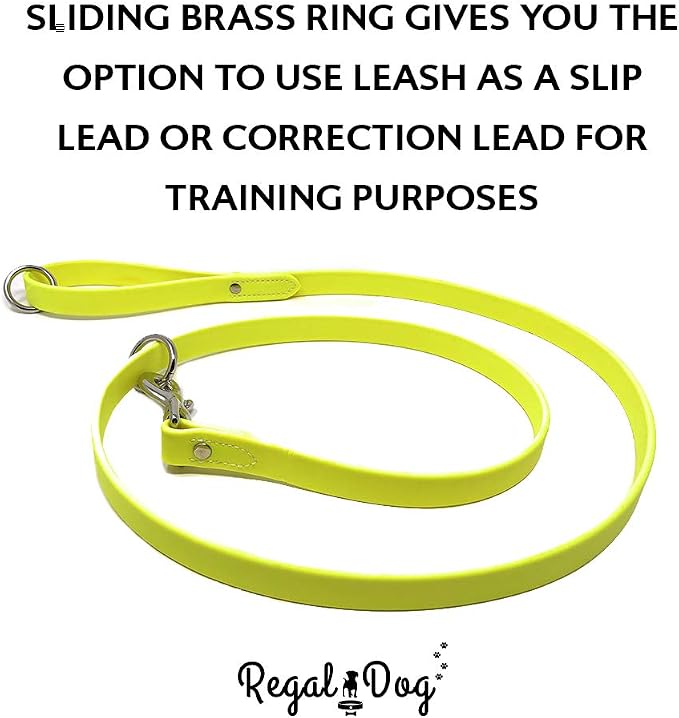 Regal Dog Products Large Yellow Waterproof Dog Collar and Leash Set | Heavy Duty Double Buckle & D Ring - 5'ft Leash | Adjustable Biothane Dog Collar | Chew Resistant Waterproof Collar for Dogs