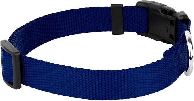Country Brook Petz - Everyday Nylon Dog Collar and Leash - 10+ Cool Colors (1 Inch, Large, Royal Blue)