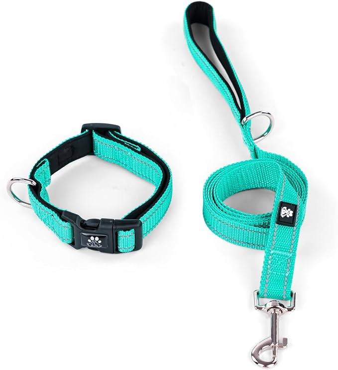 IVY&LANE Reflective Dog Collar and Leash Set,Adjustable Neoprene Padded Dog Collars for Puppy, Breathable Nylon Pet Collar for Small Medium Large Dogs(Large,Teal)