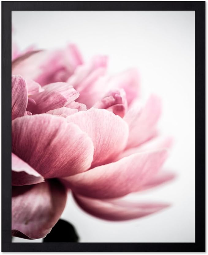 Monem Art Pink Peony Macro Photography Print - Minimalist Floral Art Poster - Wall Decor for Living Room, Bedroom or Office - 16x20 Unframed Wall Art by Mareike Bohmer