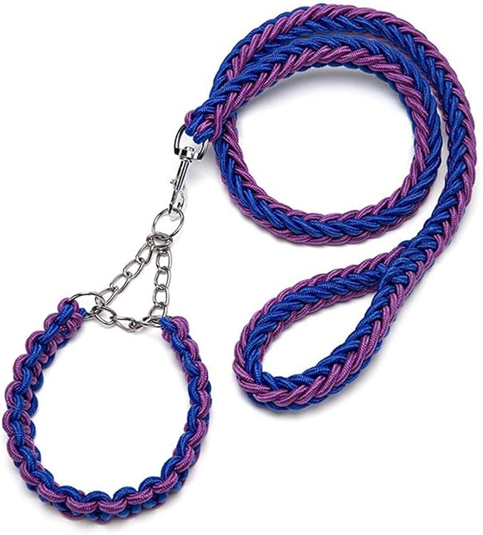 Love Dream Dog Collar and Leash Set, Heavy Duty Nylon Braided Rope Strong 4 FT Dog Leash and Martingale Training Collar for Small Medium Large Dogs Training and Walking (Blue & Purple)