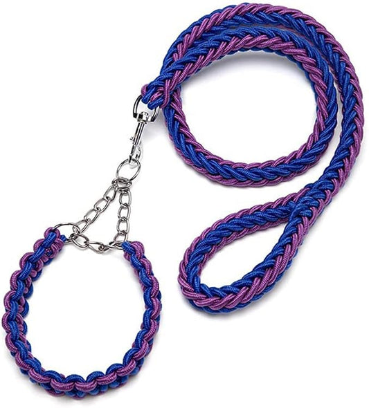 Love Dream Dog Collar and Leash Set, Heavy Duty Nylon Braided Rope Strong 4 FT Dog Leash and Martingale Training Collar for Small Medium Large Dogs Training and Walking (Blue & Purple)