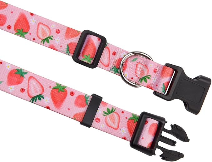 MarukoPet Dog Collar and Leash Set, Adjustable for Small Medium Large Dogs Puppy, Cute Design with Bohemia Floral Tribal Geometric Patterns Boys Girls Dog Collar(Strawberry Set,XS)