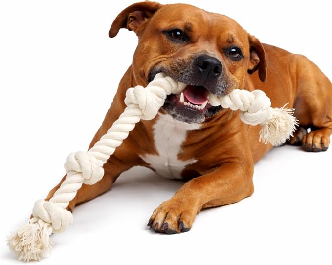 Dog Rope Toys for Large/Medium Aggressive Chewers, Tough Cotton Chew Toy, 39 Inch 5 Knots Indestructible, Tug of War Dog Pull Rope Teeth Cleaning (5 Knots)