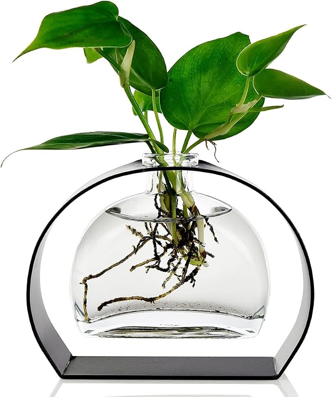Couronne Company Fiji Recycled Glass Vase & Arched Metal Stand, M246-200-00, 6.0 Ounce Capacity, Clear, 1 Piece