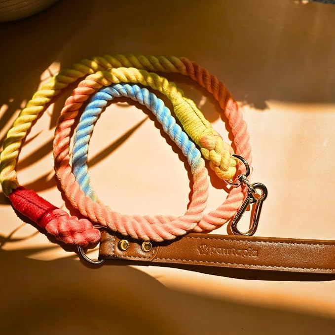 Pawtopia 5FT Dog Leash & Collar Set - Small Dogs, Cotton Braided Rope with Vegan Leather Handle (Brown) with Two Complimentary Rolls of Dog Poop Bags (30 Bags), Durable Clasp (Vivid Rainbow, Small)