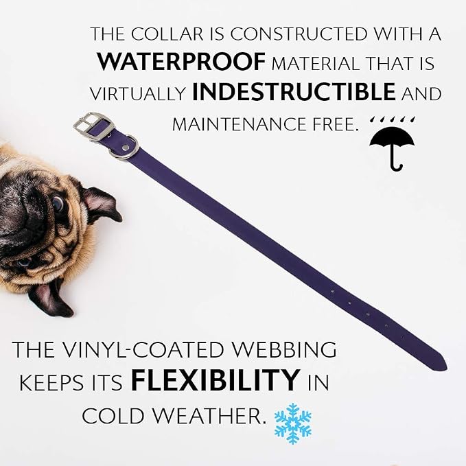 Regal Dog Products Medium Purple Waterproof Dog Collar and Leash Set | Heavy Duty Double Buckle & D Ring - 5'ft Leash | Adjustable Biothane Dog Collar | Chew Resistant Waterproof Collar for Dogs