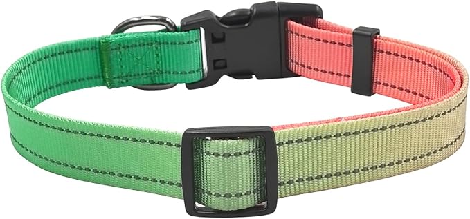 Dog Collar Leash Set, Gradient Color, with Safety Reflective Strips, 5 ft Matching Leash, Neoprene Padded Handle, Adjustable 4 Sizes for Small Medium Large Dogs.(XS, Green Orange)