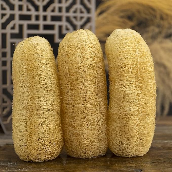 Natural Egyptian Loofah Sponge (2-Pack) - Exfoliating Body Scrubber for Women & Men, Organic Plant-Based Bath Sponge for Face, Body & Back Cleaning - Gentle Exfoliation for Soft Skin