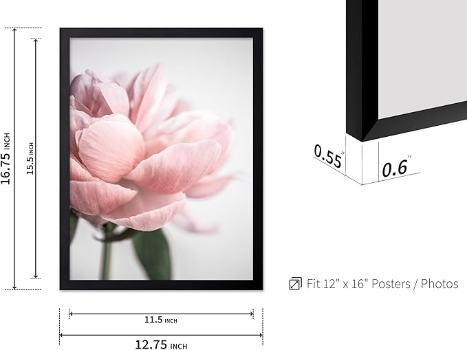 Monem Art Soft Pink Peony Macro Photography Print - Minimalist Floral Art Poster - Wall Decor for Living Room, Bedroom or Office - 12x16 Black Framed Wall Art by Mareike Bohmer