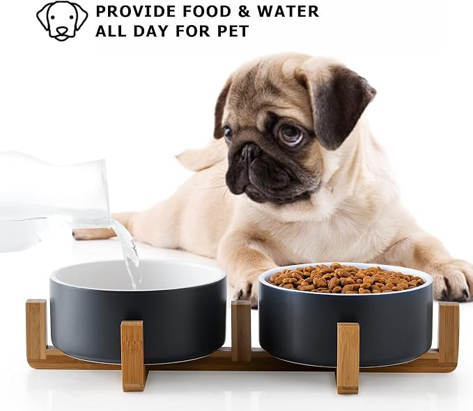 Y YHY Ceramic Pet Feeder, 24oz Dog & Cat Bowls with Wooden Stand, Modern Double Bowls Set - Dishwasher Safe