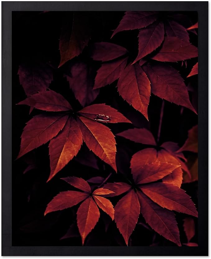 Monem Art Red Autumn Leaves Macro Photography Print - Moody Botanical Nature Poster - Wall Decor for Living Room, Bedroom or Office - 16x20 Unframed Wall Art by Mareike Bohmer