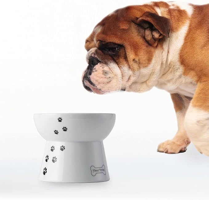 Necoichi Raised Dog Food Bowl, Elevated, for dogs and cats, pets feeding feeder Non-slip for small dogs Dishwasher and Microwave Safe, No.1 Seller in Japan! (Dog, Food Bowl)