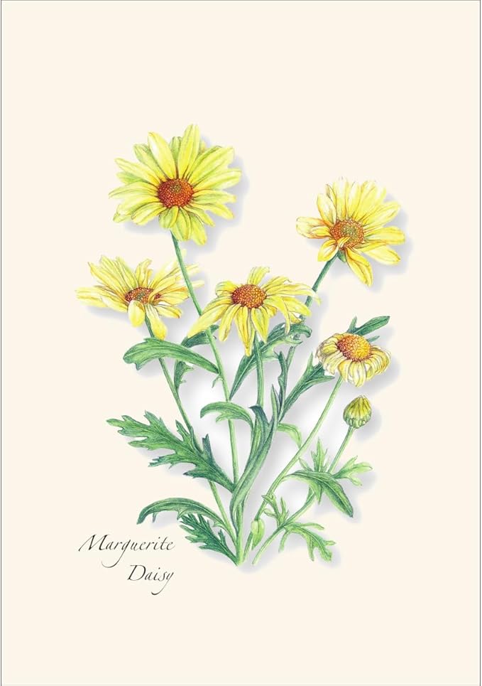 Earth Sky + Water - Garden Favorites Assortment Notecard Set - 8 Blank Cards with Envelopes (2 each of 4 styles)