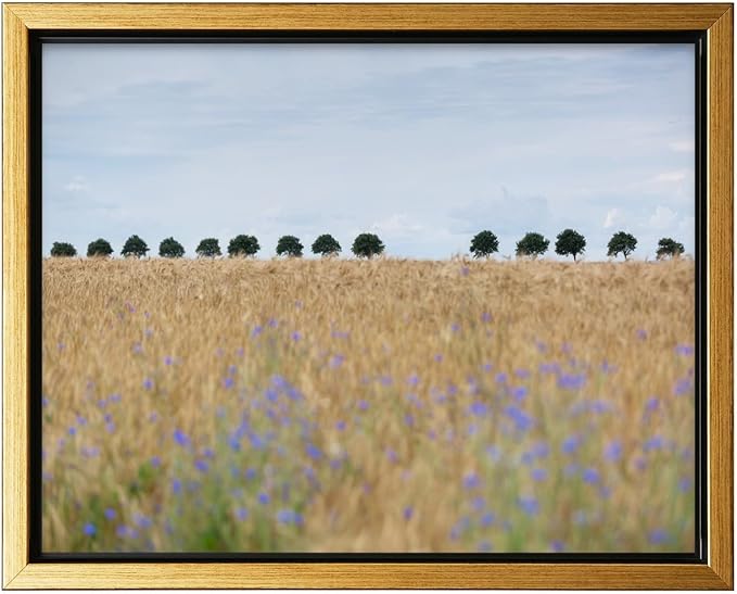 Monem Art Golden Meadow Horizon Landscape Print - Minimalist Nature Photography Poster - Wall Decor for Living Room, Bedroom or Office - 16x20 Gold Framed CANVAS Wall Art by Mareike Bohmer