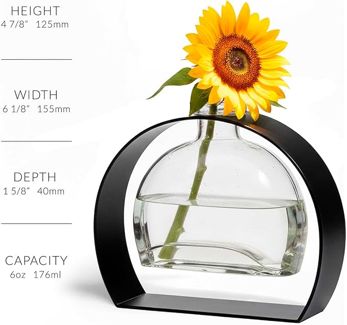 Couronne Company Fiji Recycled Glass Vase & Arched Metal Stand, M246-200-00, 6.0 Ounce Capacity, Clear, 1 Piece