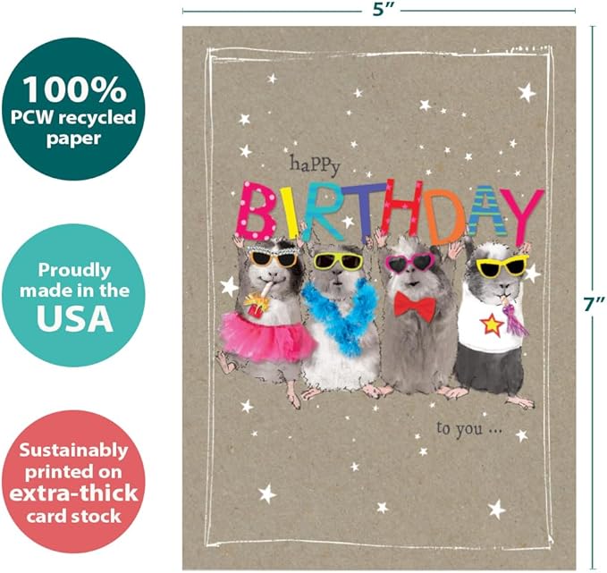 Tree-Free Greetings - Birthday Card - Artful Designs - 1 Card + Matching Envelope - Made in USA - 100% Recycled Paper - 5 x 7 - Fun Day (GO65229)