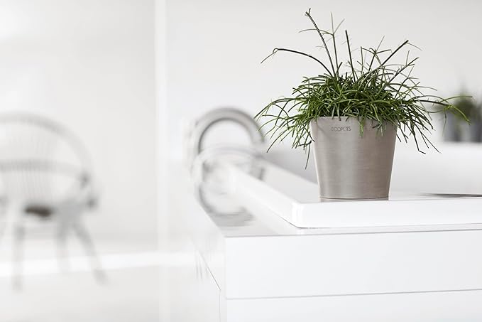Ecopots Amsterdam Mini Durable Modern Round Recycled-Based Composite Flower Pot Planter, Taupe, 5"