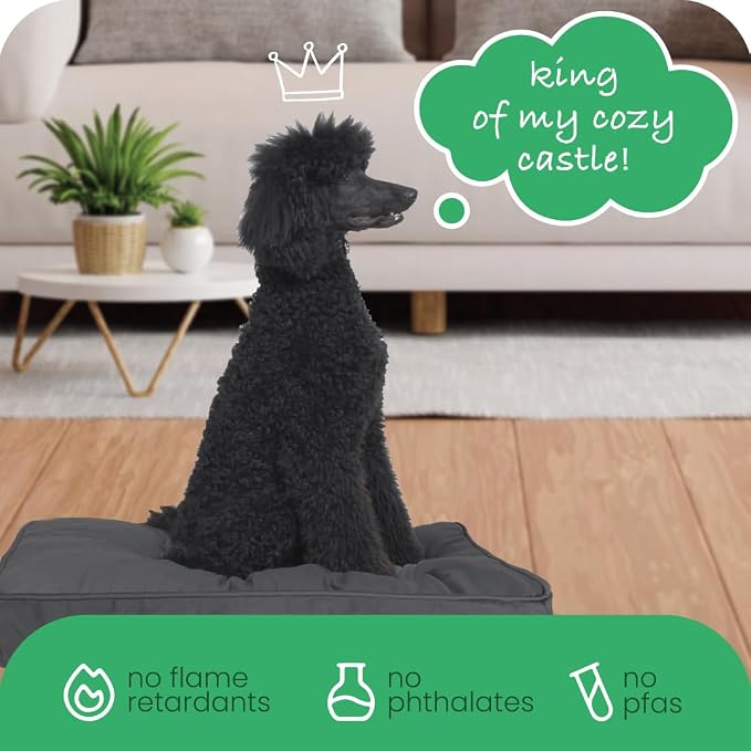 Molly Mutt Huge Dog Bed Cover - I’m A Realist Print - Measures 36”x45”x5’’ - 100% Cotton - Durable - Breathable - Sustainable - Machine Washable Dog Bed Cover