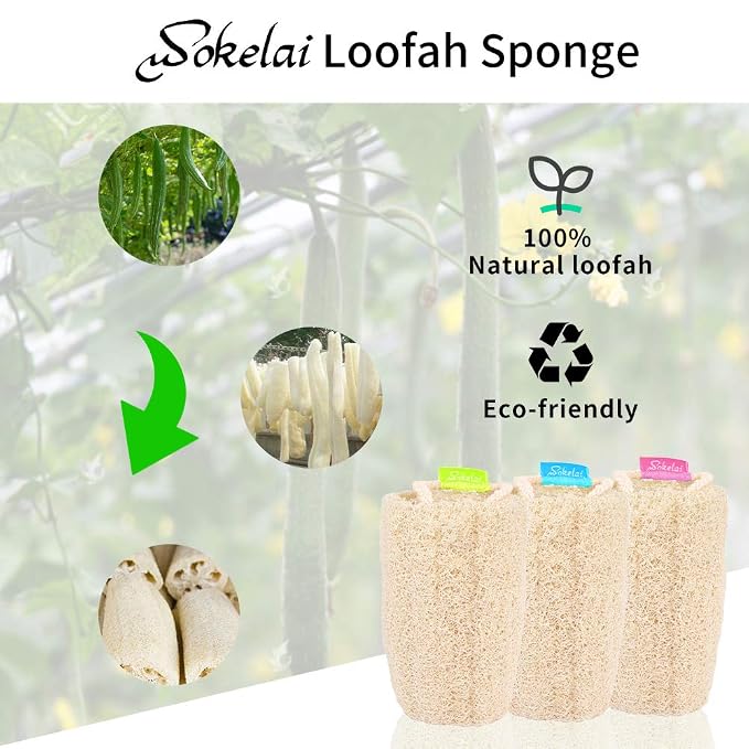 Natural Loofah Sponge - Exfoliating Body Scrubber for Shower Scrubbing, Organic Luffa Sponges, Egyptian Real Loofa, Bath Shower Puff for Bathing, Spa, Massaging Daily Skin Cleansing Care