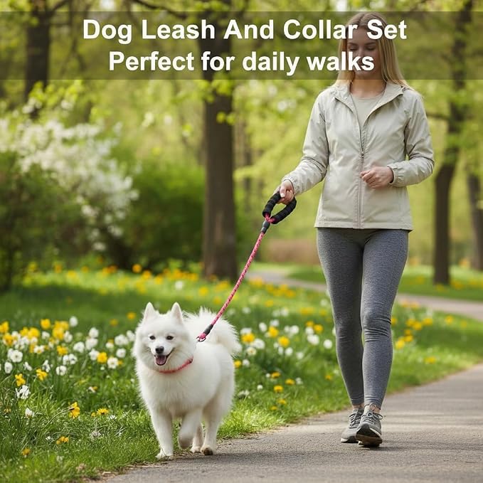 Dog Leash and Collar Set – 6 FT Strong Rope Leash with Padded Handle & Adjustable Nylon Collar Reflective for Small Medium Large Dogs (Pink, M)